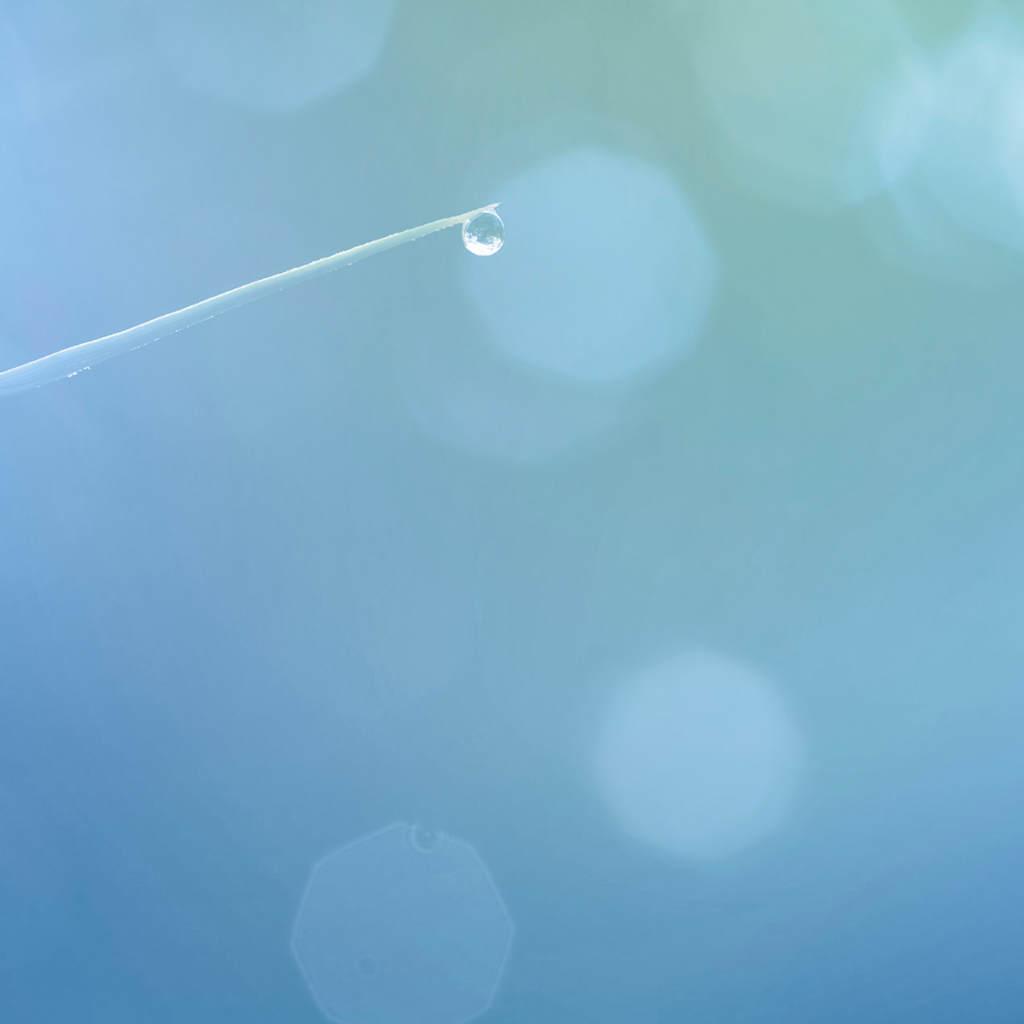 Bioenergía una de las áreas de trabajo de Blue Zones Biotech